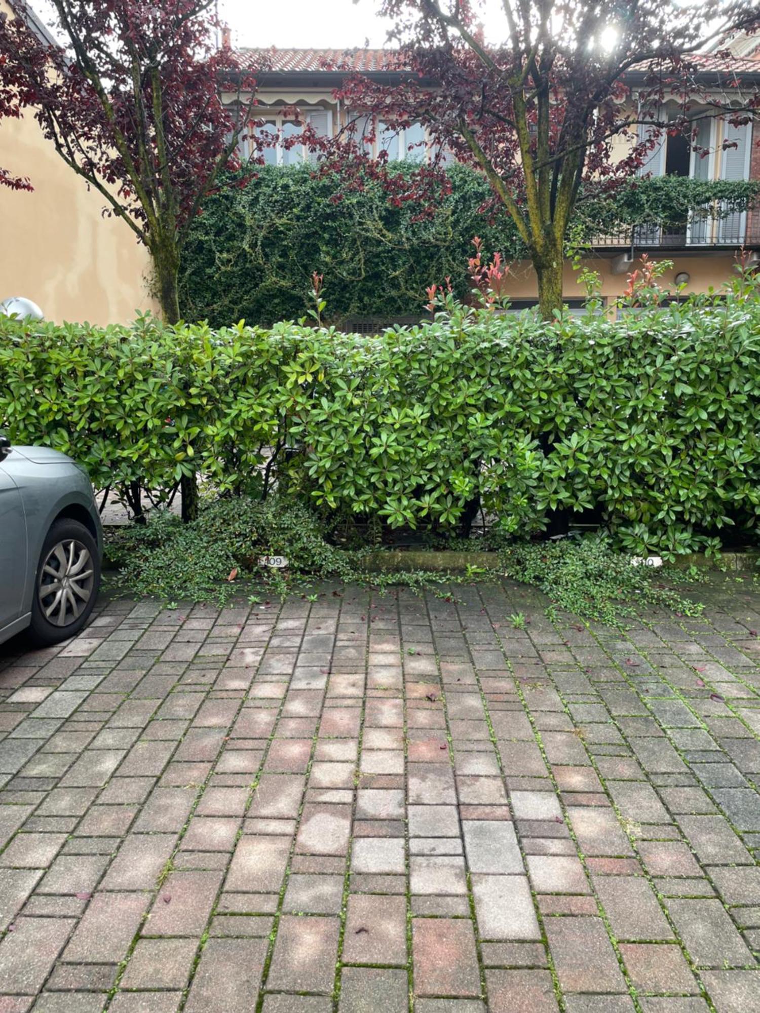 Gelsomino Appartamento Con Posto Auto Nel Centro Di Monza Dış mekan fotoğraf